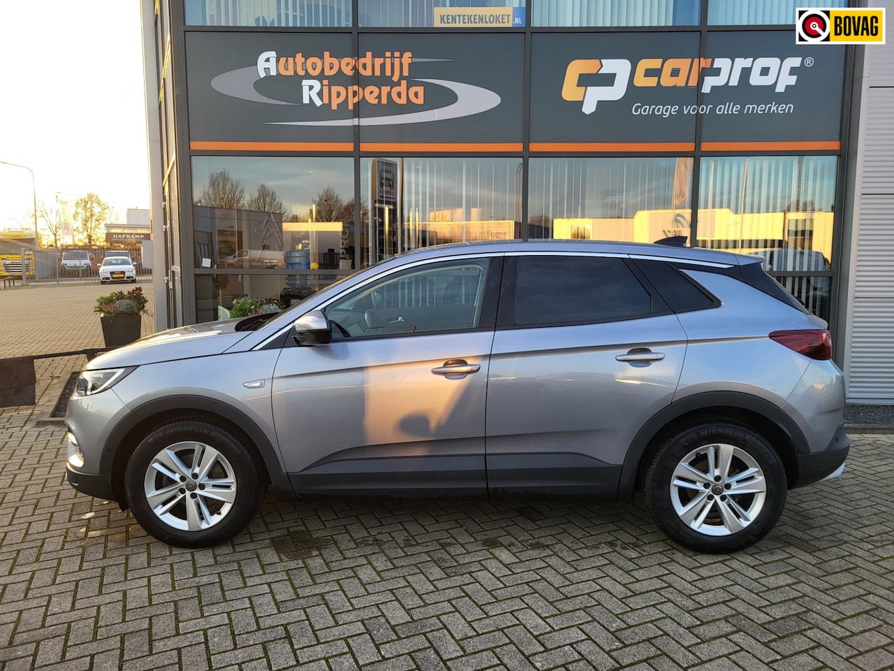 Opel Grandland X - 1.2 Turbo Business Executive 1.2 Turbo Business Executive - AutoWereld.nl