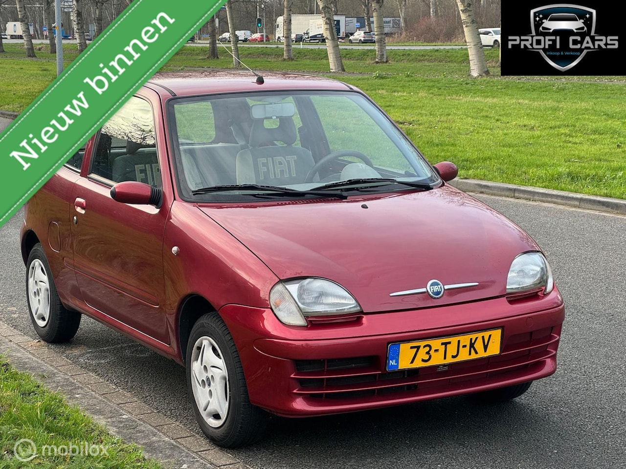 Fiat 600 - Seicento 1.1 Young Elek.Ramen Nap - AutoWereld.nl