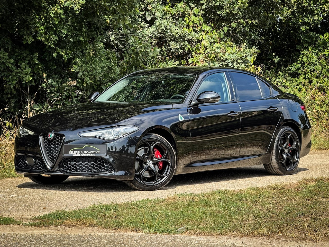 Alfa Romeo Giulia - 2.0 T AWD Veloce | Clima | Cruise | Navi | Camera | Leder | Metalic | Stoelverw. | Stuurve - AutoWereld.nl