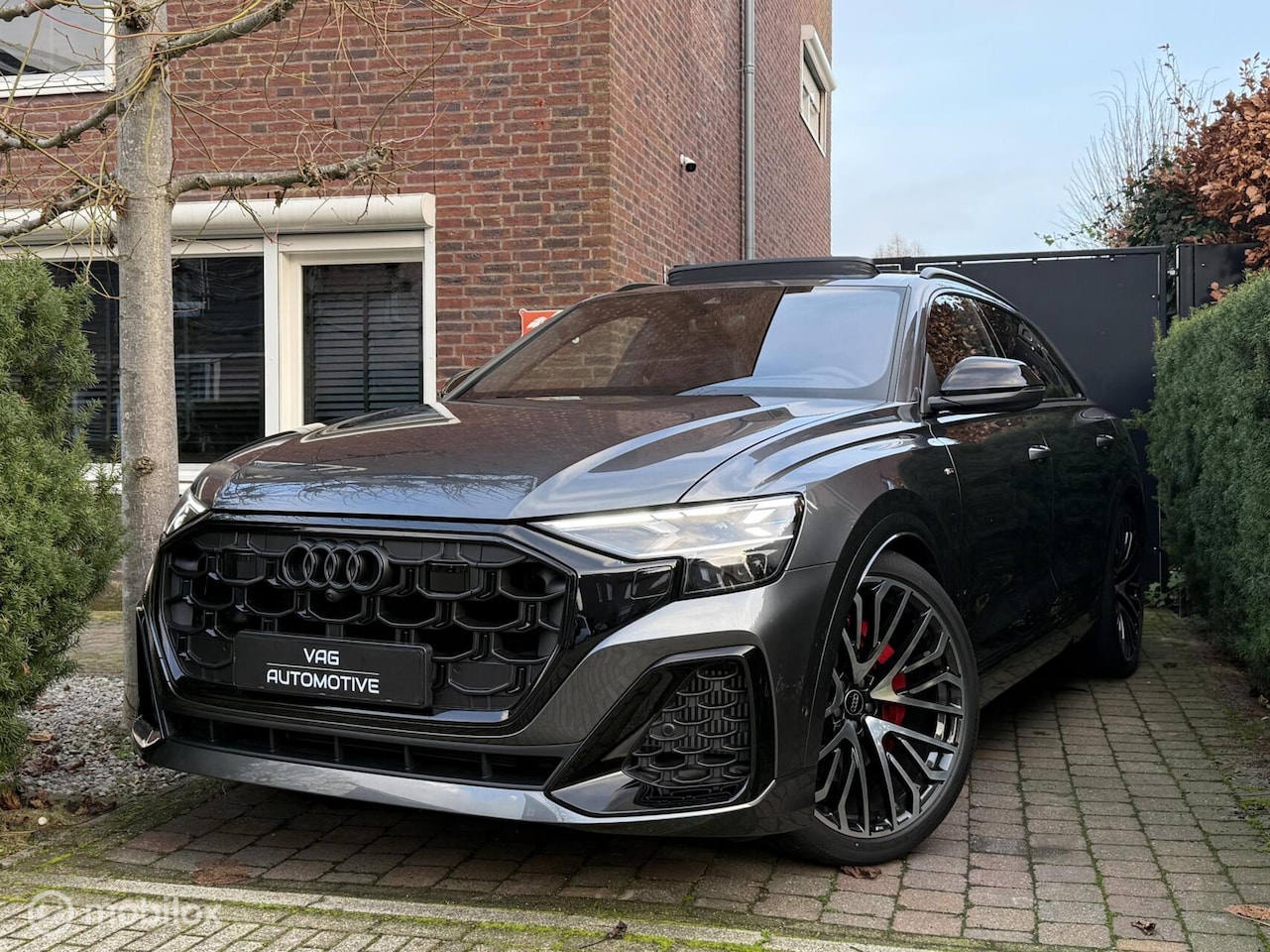 Audi Q8 - 60 TFSI e quattro Pro Line S Competition 60 TFSI e quattro Pro Line S Competition - AutoWereld.nl