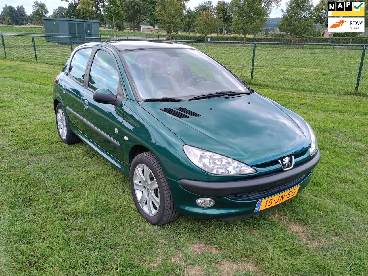 Peugeot 206 - 1.6-16V Roland Garros PANORAMADAK - AutoWereld.nl