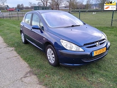 Peugeot 307 - 1.6-16V XS