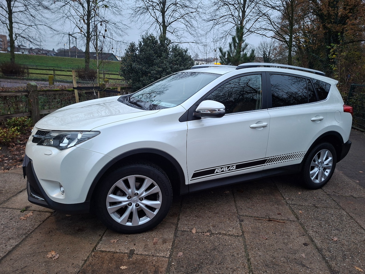 Toyota RAV4 - 2.0 Executive Business 4WD - AutoWereld.nl