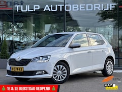 Skoda Fabia - 1.0 TSI Online Edition 5 deurs Clima Navi NAP
