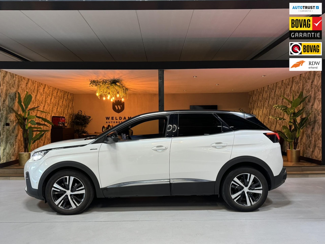 Peugeot 3008 - 1.6 THP GT Line Garantie Afn. Trekhaak 360 Camera Blindspot Carplay Sfeer Cruise Clima Nav - AutoWereld.nl