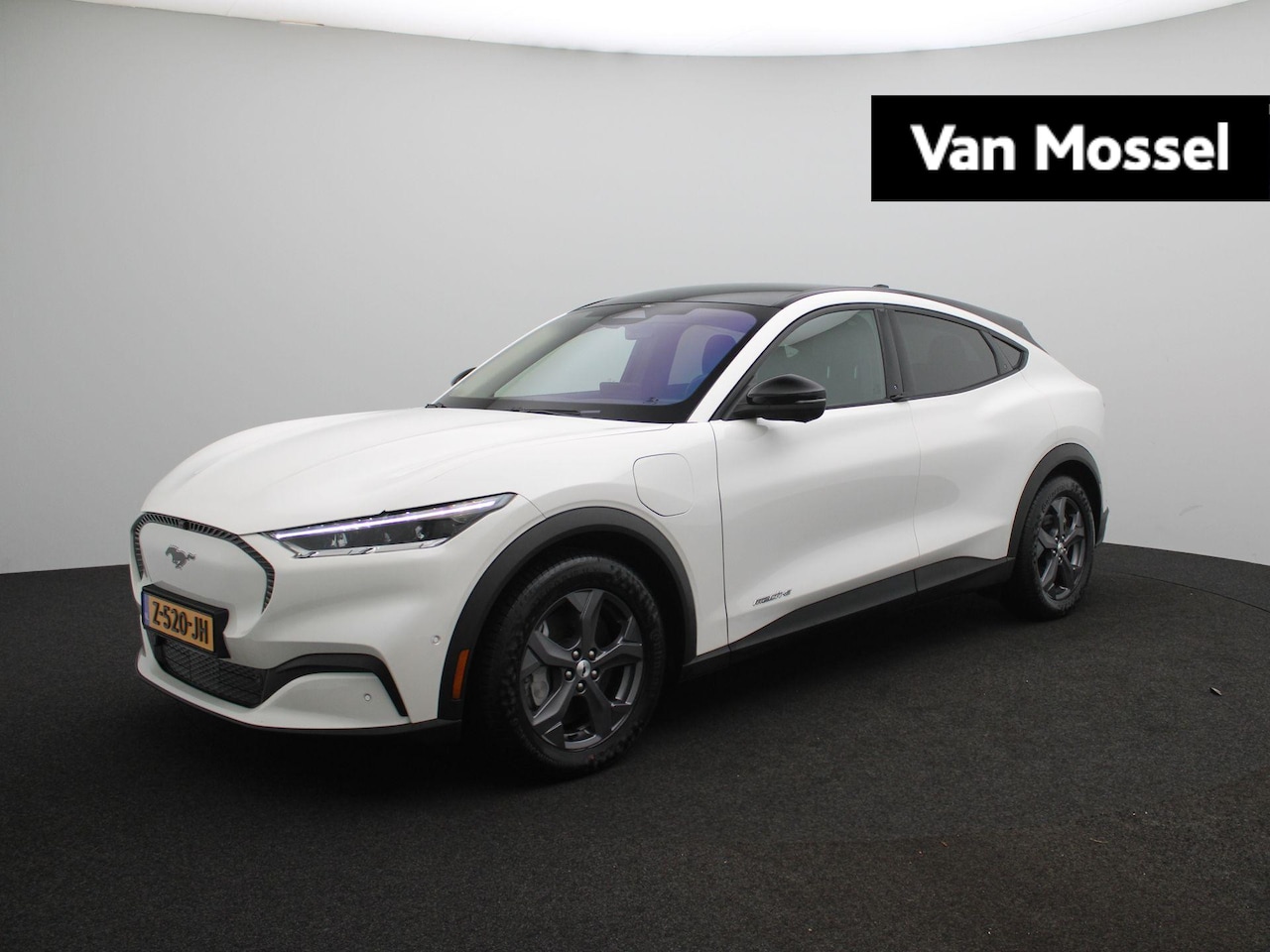 Ford Mustang Mach-E - RWD 75 kWh - AutoWereld.nl