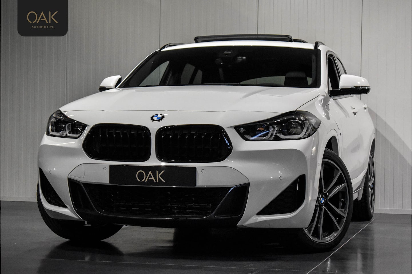 BMW X2 - xDrive25e | M-Sport | Navi | Panorama | Leder | Memory | H&K | Head-Up | Camera | 19"LM | - AutoWereld.nl