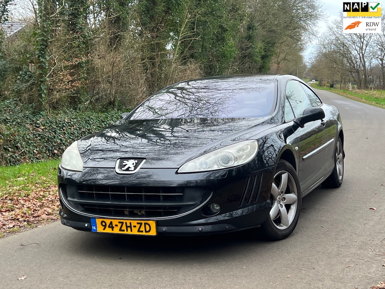 Peugeot 407 Coupé - 2.2-16V Pack | Nieuwe apk + Cruise + Clima + Leder Nu € 1.999,-!!! - AutoWereld.nl