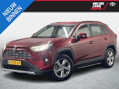 Toyota RAV4 - 2.5 Hybrid Dynamic Trekhaak Treeplanken Navi Cruis