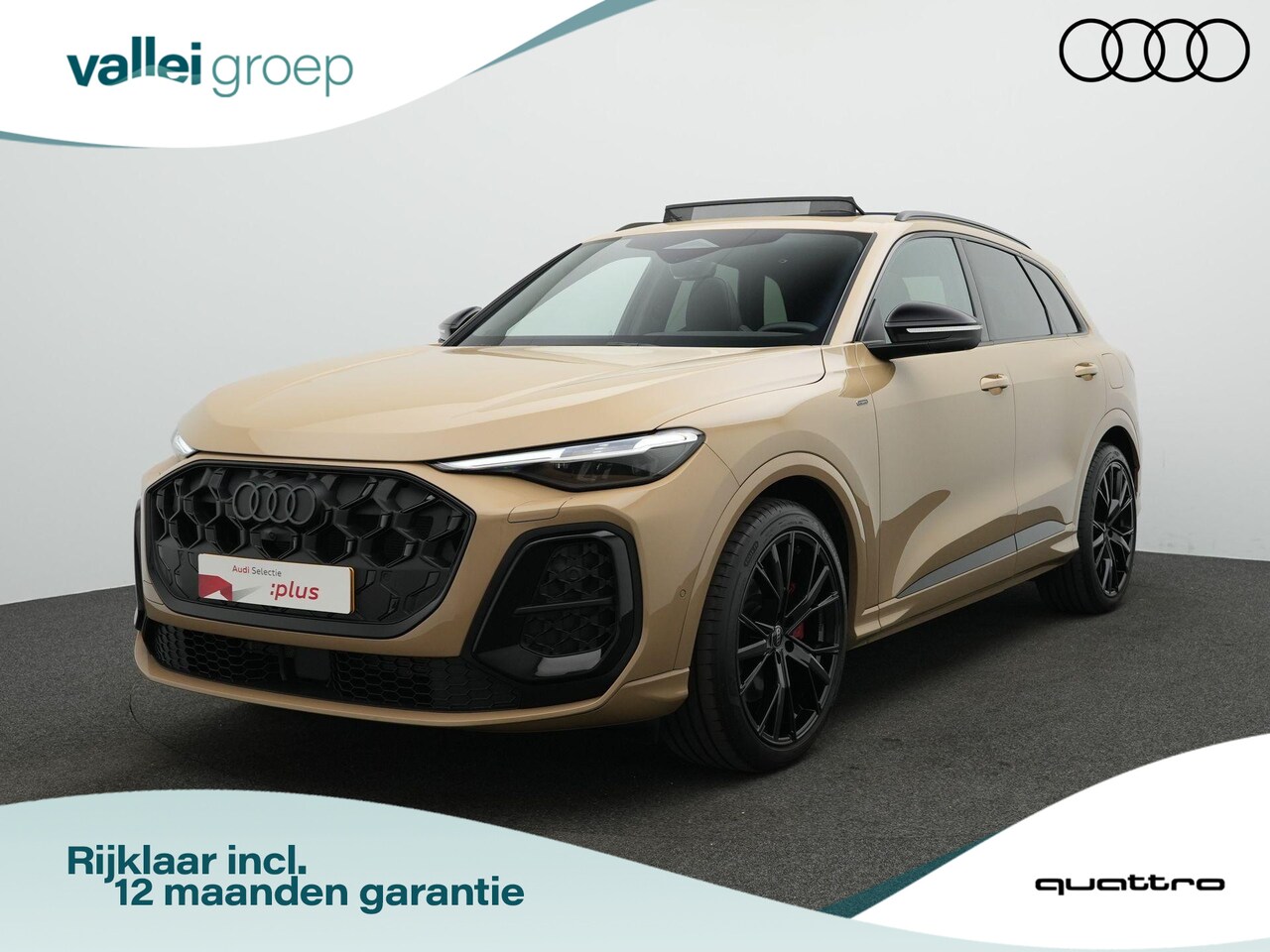 Audi Q5 - 2.0 TFSI e-hybrid 367 pk S-tronic quattro S edition Competition / S-Line | Panoramadak | T - AutoWereld.nl