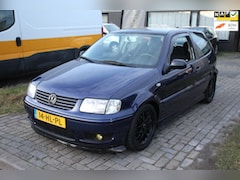Volkswagen Polo - 1.4-16V GTI-Line Oldskool Verlaagd LM-Velgen sideskirts Mistlampen