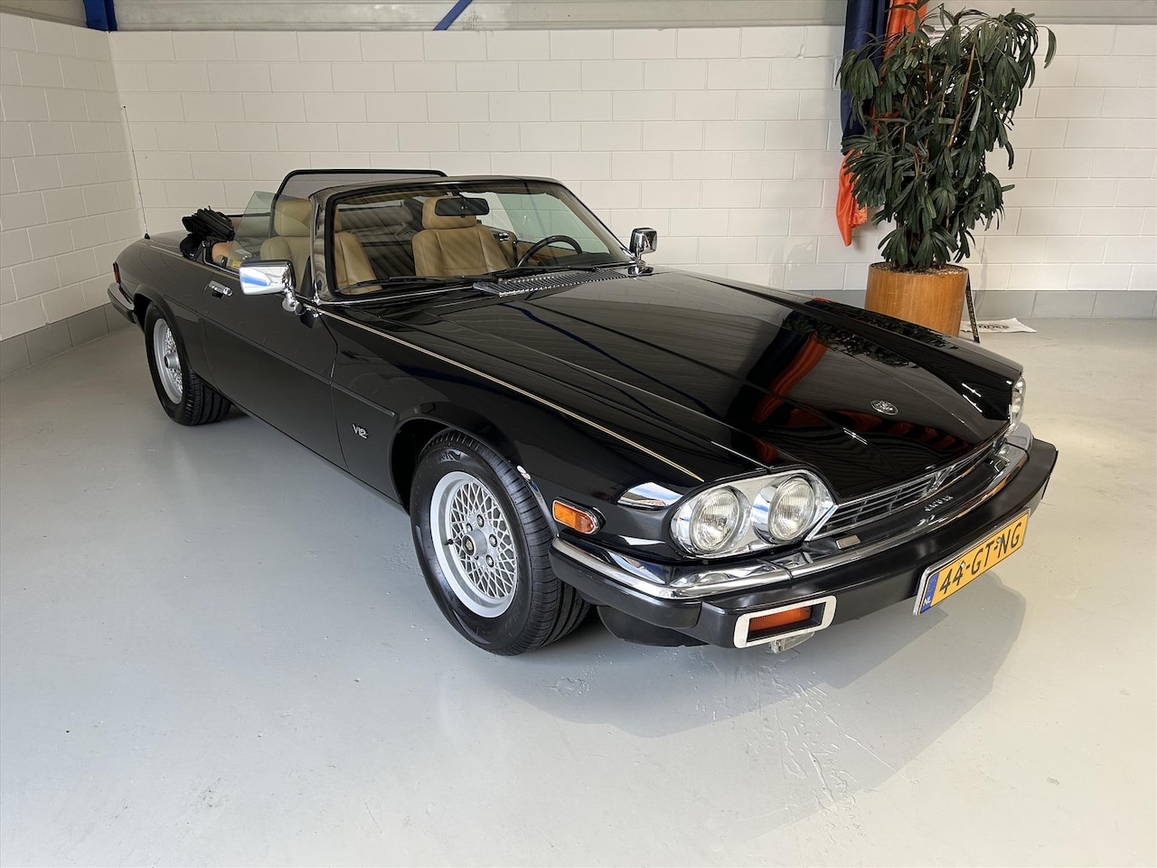 Jaguar XJ - Xj-S 5.3 Cabriolet V12 AUT, ZEER NETTE AUTO - AutoWereld.nl