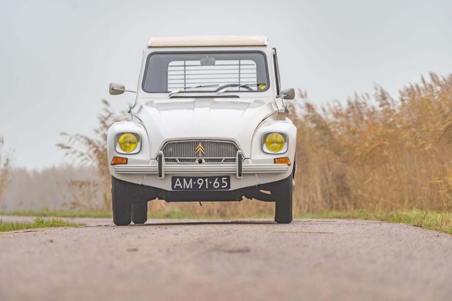 Citroën Dyane - AutoWereld.nl