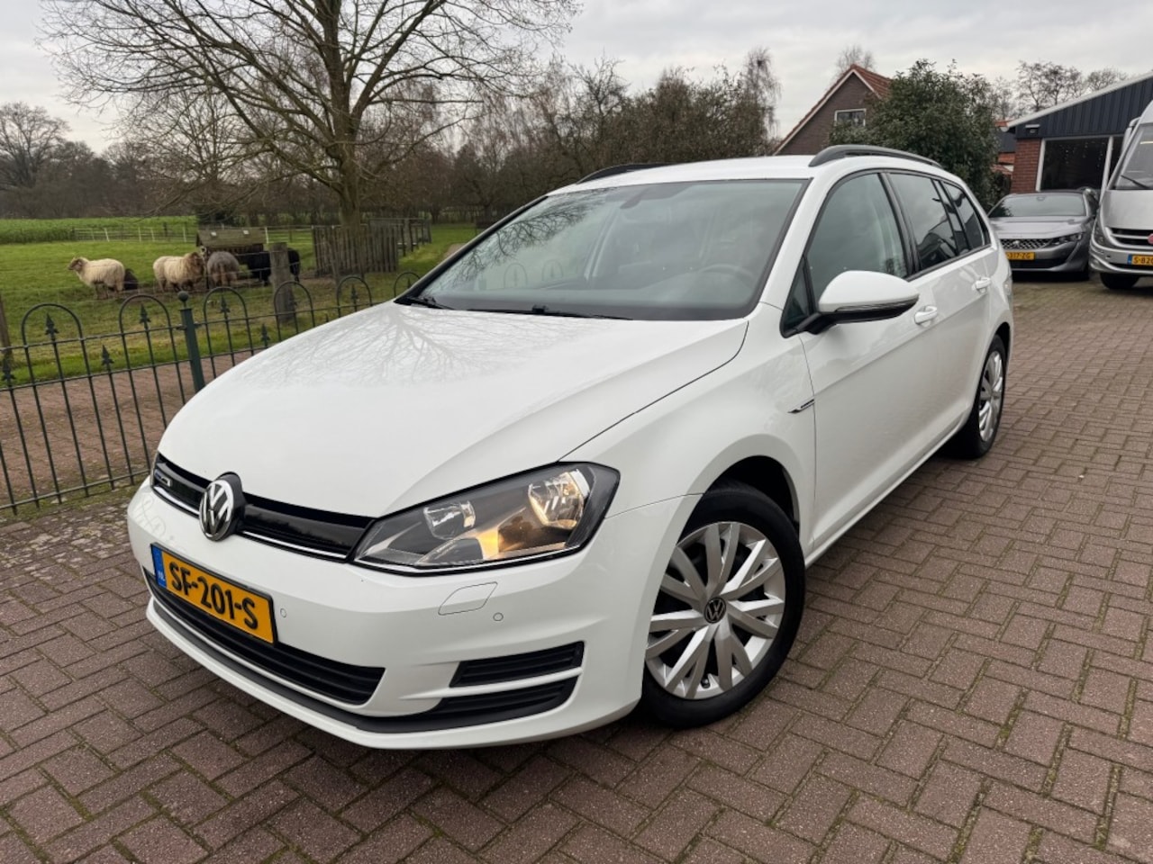 Volkswagen Golf - 1.6 TDI Business Edition *Navi*Cruise*Trekhaak, - AutoWereld.nl