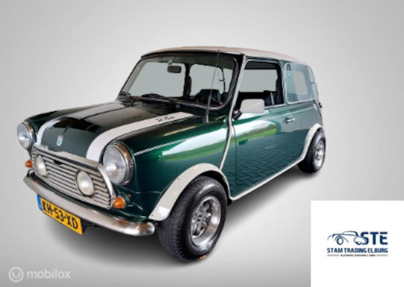 Austin Mini - 1000 HLE 1983 - AutoWereld.nl