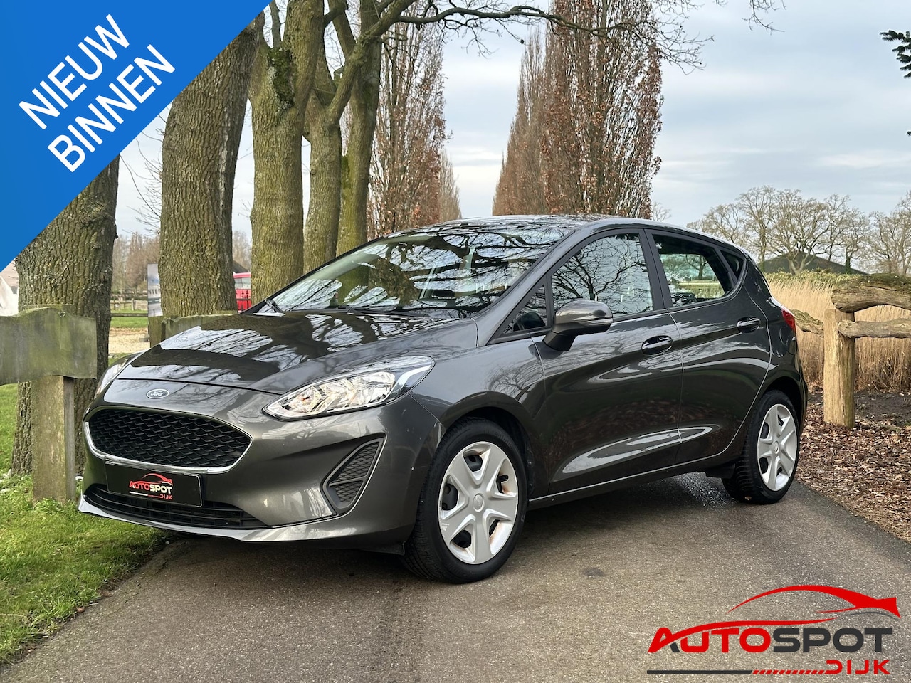 Ford Fiesta - 1.1 Trend 1.1 Trend - AutoWereld.nl