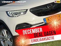 Opel Grandland X - 1.2 Turbo Business Edition - Summit White - Camera/Carplay/Clima