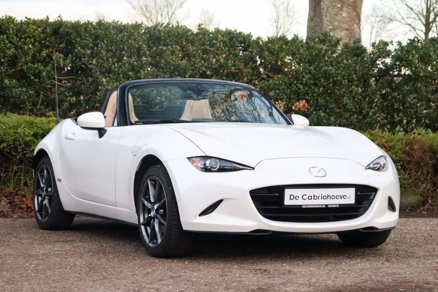 Mazda MX-5 - ND 2.0l SkyActiv-G 160 GT-M Snowflake White Pearl Mica - Sakura - AutoWereld.nl