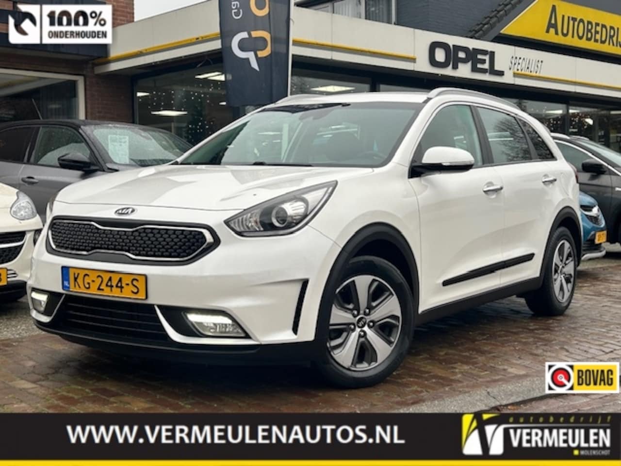 Kia Niro - 1.6 GDi Hybrid 141PK First Edition Automaat + 16''/ Navi/ Clima/ Cruise/ Camera/ NL auto - AutoWereld.nl