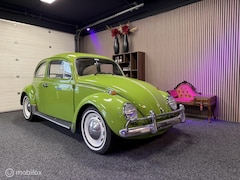 Volkswagen Kever - 1300 / BJ 1972 /