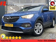 Opel Grandland X - 1.2 Turbo Business Executive - Navigatie - Trekhaak - Climate Control - Blind Spot