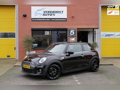 MINI Mini-Electric - Essential 33 kWh camera. stoelverwarming. half leder, nieuwstaat