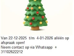 Mercedes-Benz Vito - 115 CDI 320 Lang Bj. 2009 KM.249000 *Airco* Laadruimte Bestelwagen *Rijdt Perfect