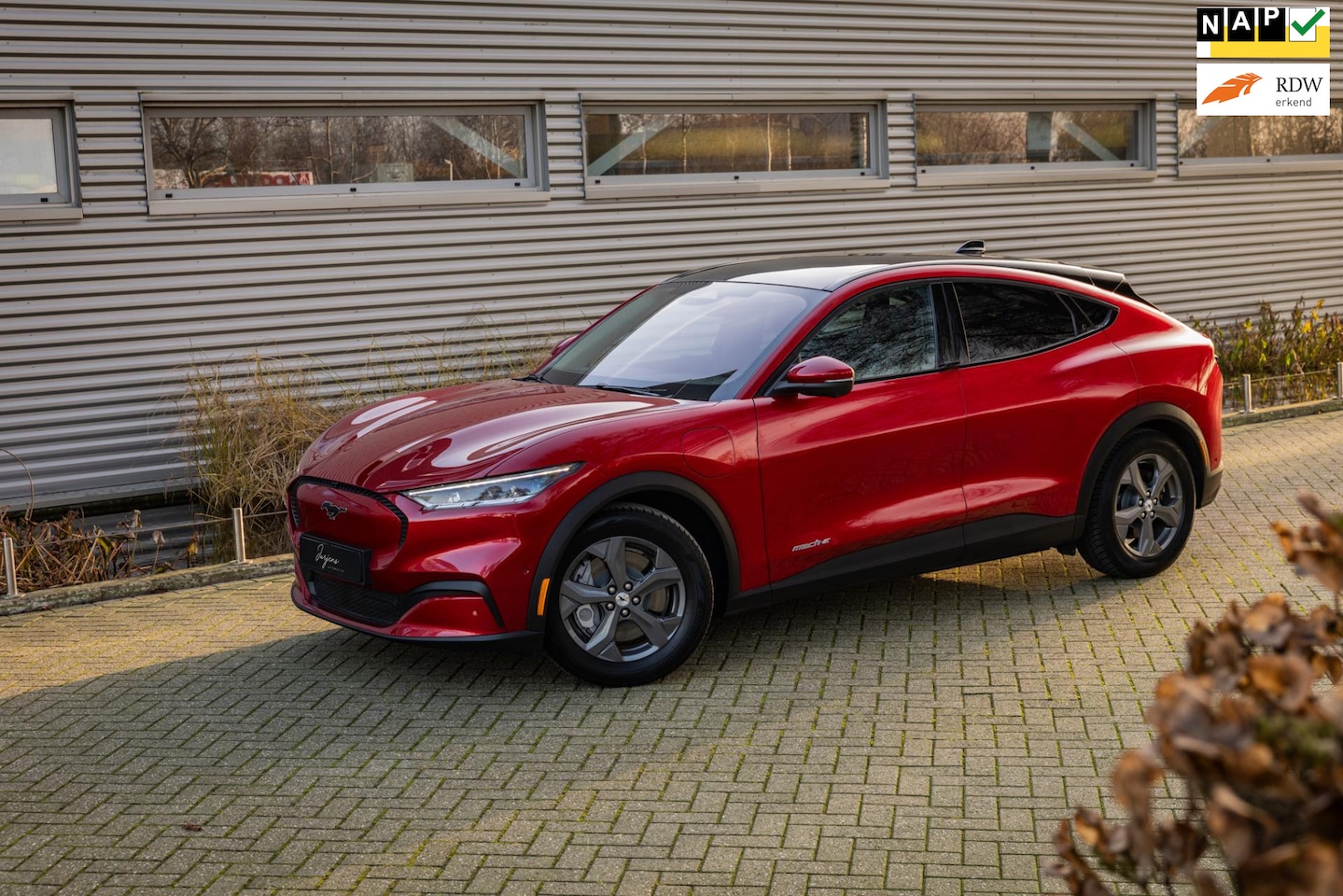 Ford Mustang Mach-E - RWD 75 kWh | B&O | Panorama | Leer | Adap Cruise | Apple CarPlay | - AutoWereld.nl