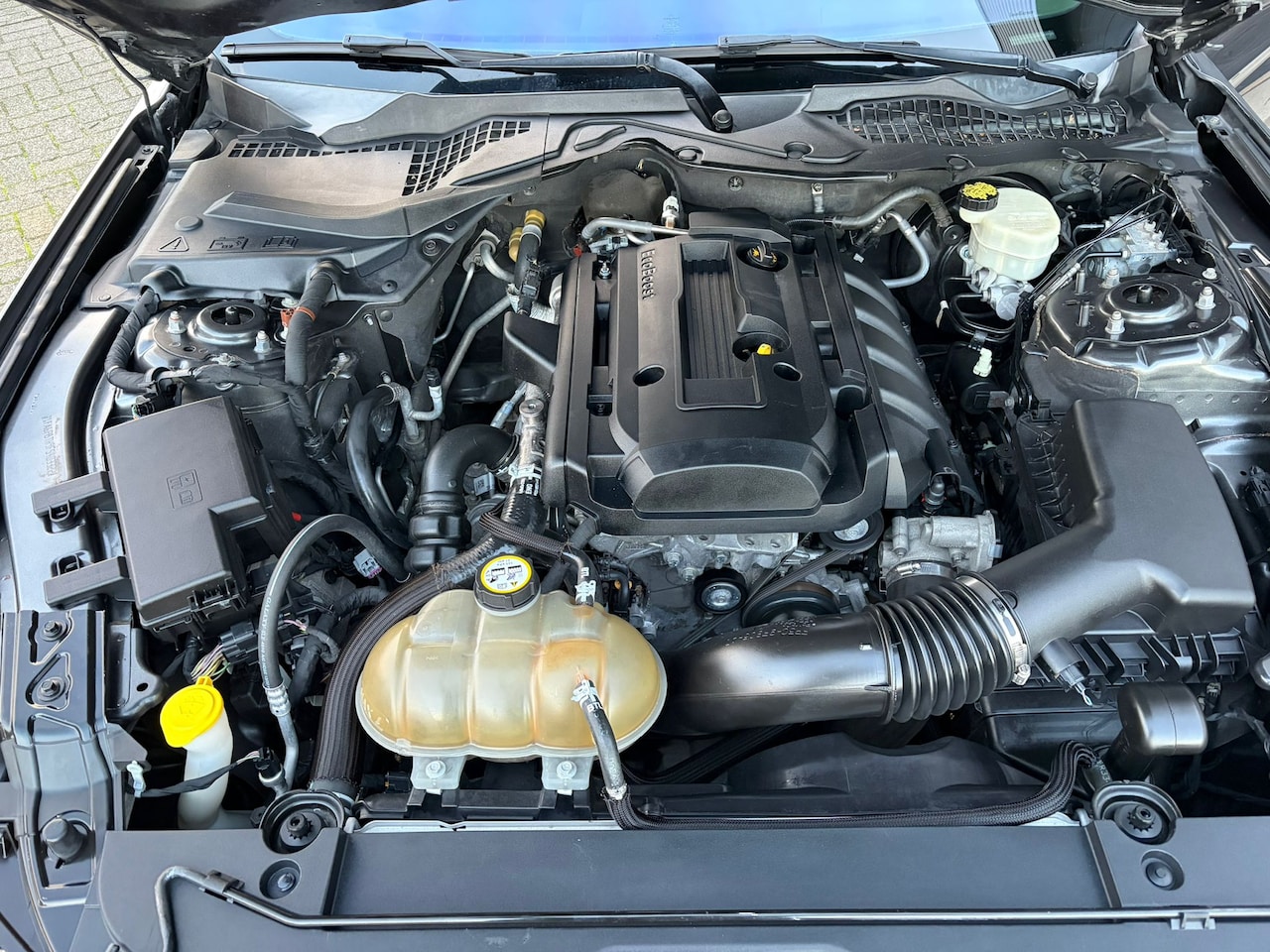 Ford Mustang Fastback - 2.3 EcoBoost MUSTANG Fastback GT-ROUSH UITVOERING 2.3 EcoBoost Stage 2