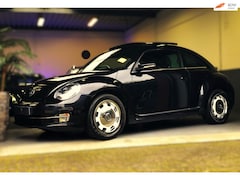 Volkswagen Beetle - 1.2 TSI Sport/Retro LV/Pano.dak