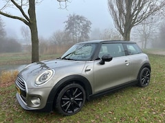 MINI Cooper - 1.5 Chili Business