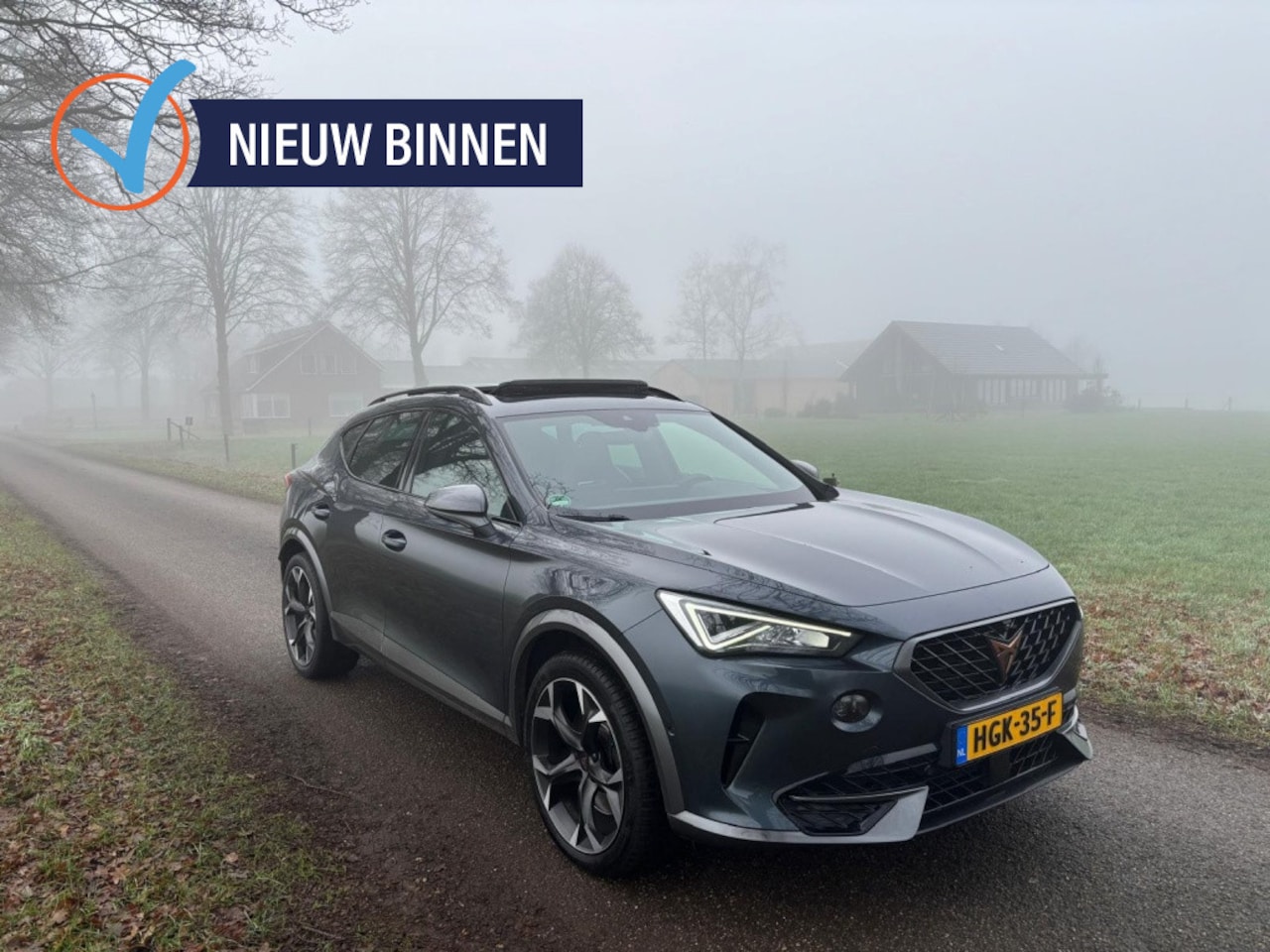 CUPRA Formentor - 1.4 e-Hybride Copper Edition | Panoramadak | Lederen Bekleding | - AutoWereld.nl