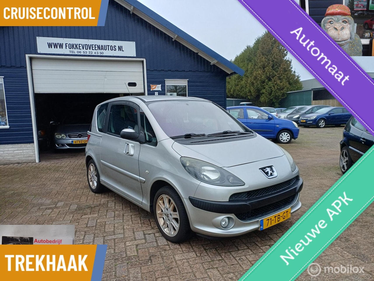 Peugeot 1007 - 1.6-16V LEP OP Lees beschrijving op onze website - AutoWereld.nl