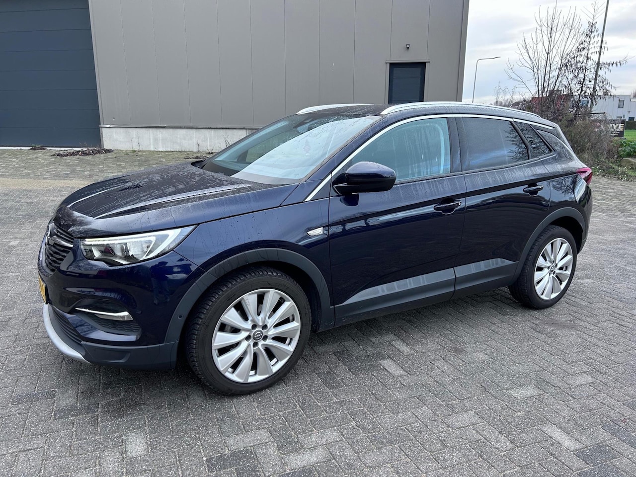 Opel Grandland X - 1.2 Turbo Business Executive LineA - AutoWereld.nl