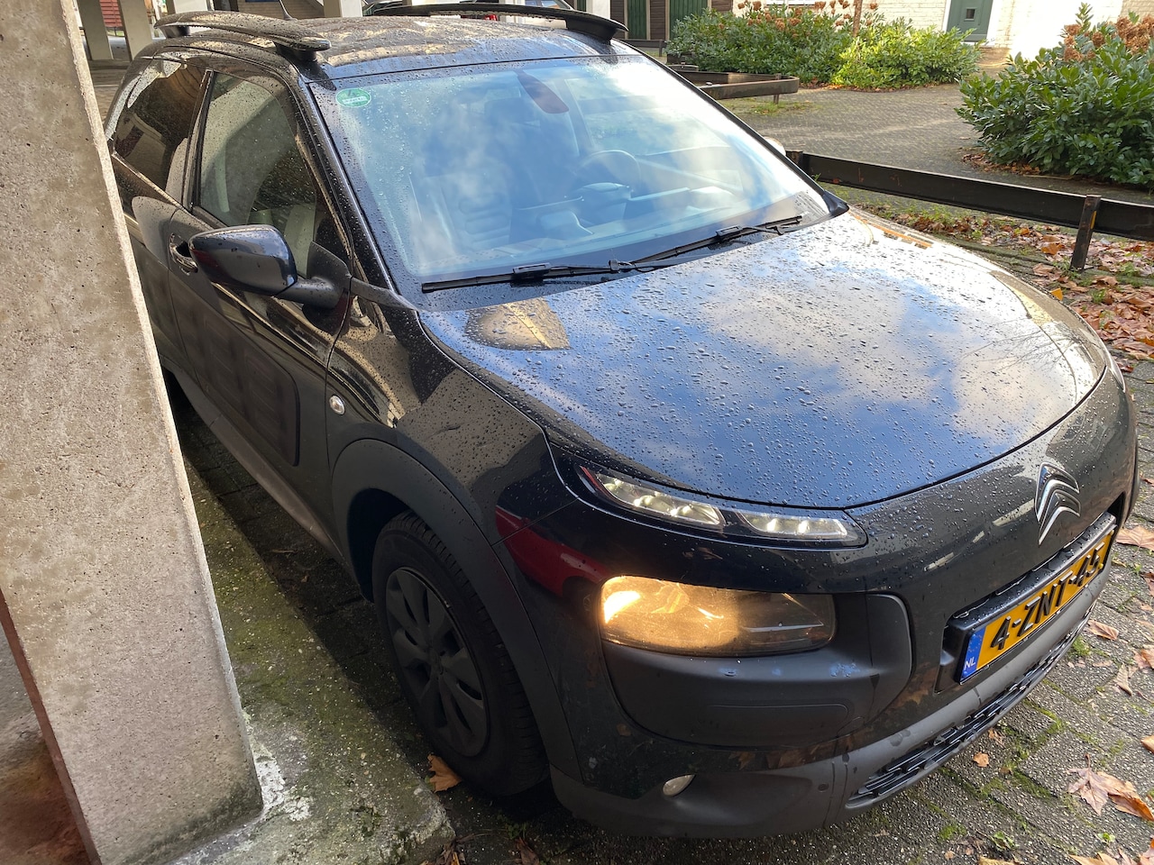 Citroën C4 Cactus - 1.6 BlueHDi Business - AutoWereld.nl