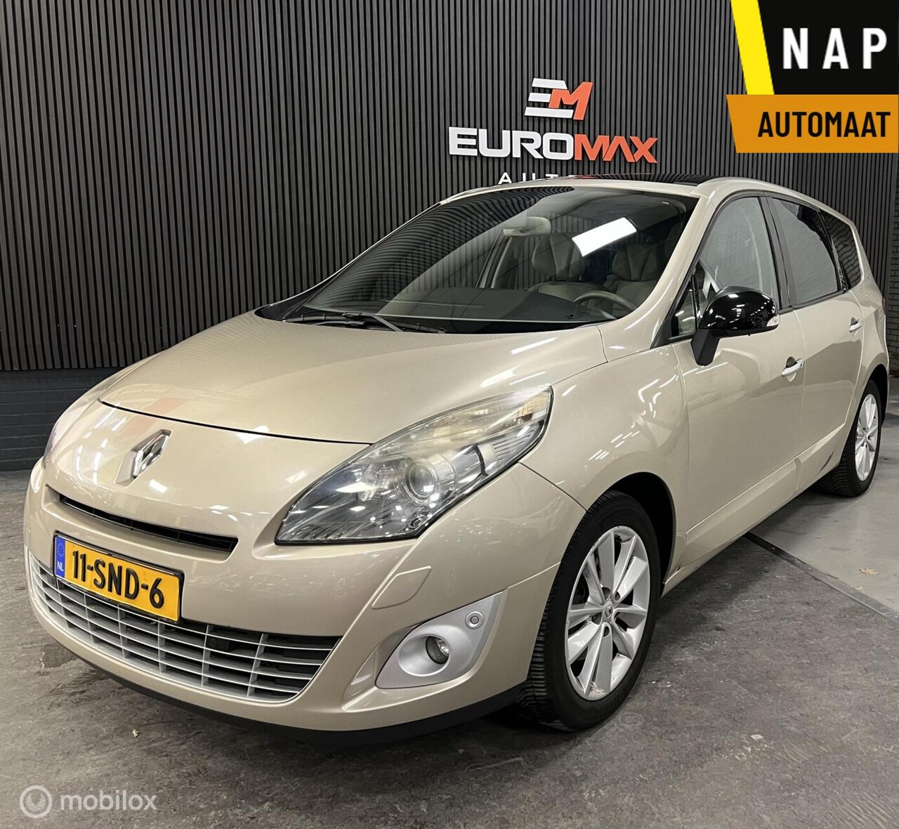 Renault Scénic - 2.0 Bose NAP/Automaat/Panoramadak - AutoWereld.nl