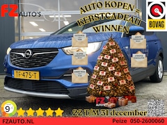 Opel Grandland X - 1.2 Turbo Business Executive - Navigatie - Trekhaak - Climate Control - Blind Spot