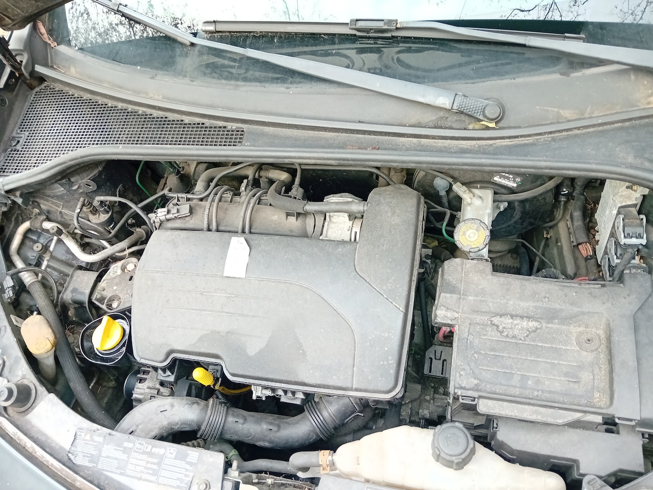 Renault Clio - 1.2-16V Rip Curl - AutoWereld.nl