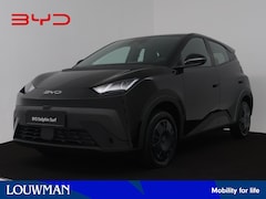 BYD Dolphin Surf - Active 30 kWh | Nieuw & Direct leverbaar