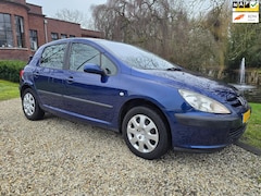 Peugeot 307 - 1.6-16V XS 5-deurs AUTOMAAT/airco/CRUISE
