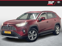Toyota RAV4 - 2.5 Hybrid Dynamic Trekhaak Treeplanken Navi Cruis