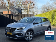 Opel Grandland X - 1.6 Turbo Hybrid Business Edition Camera