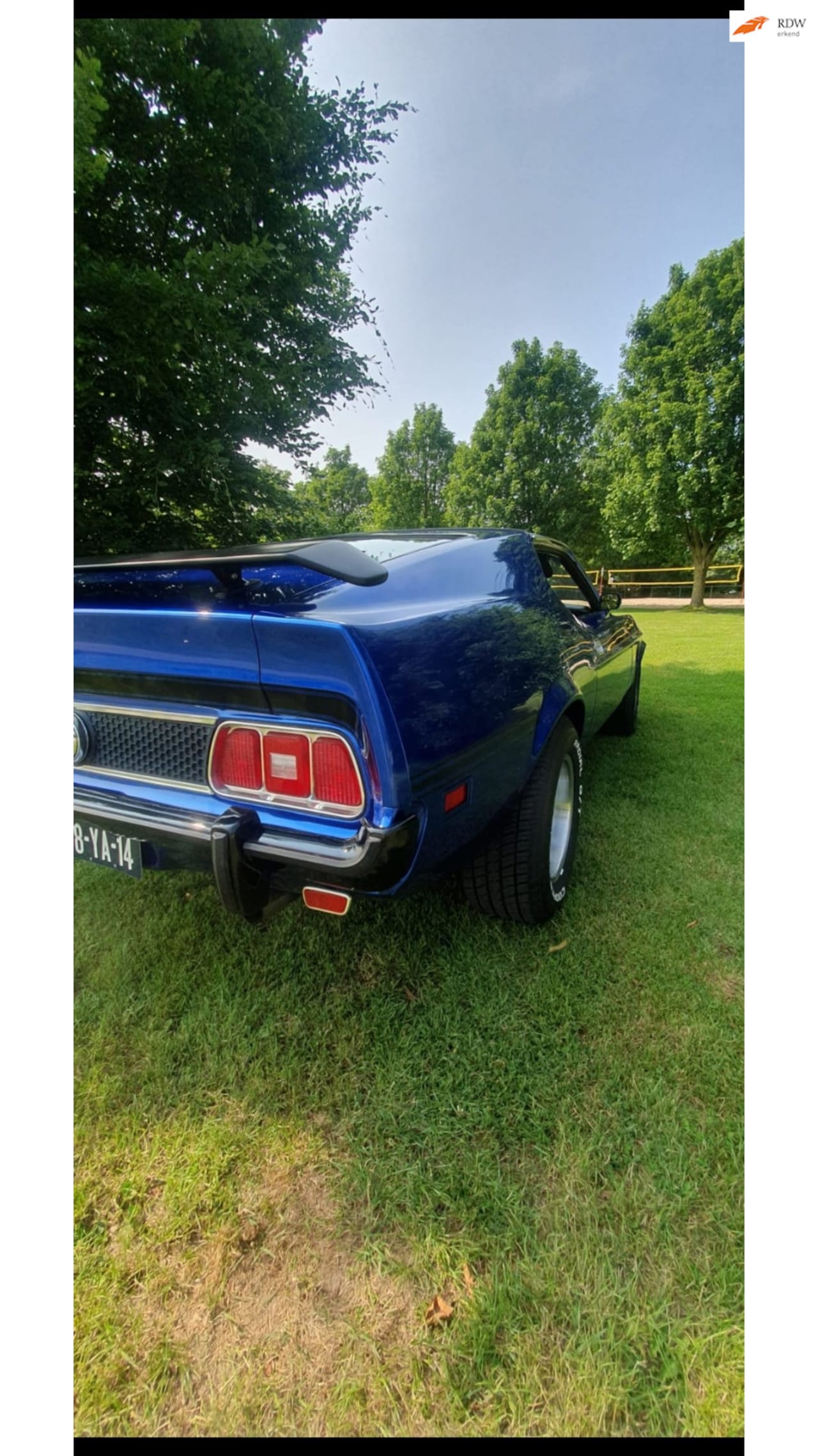 Ford Mustang - MACH 1 COBRA JET 351 - AutoWereld.nl