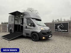 Opel Movano - HORSETRUCK STX AKX 3XL GREY | 2023 | HENGST | 59.101KM | LEER | CAMERA | 3-SEAT | BELGISCH