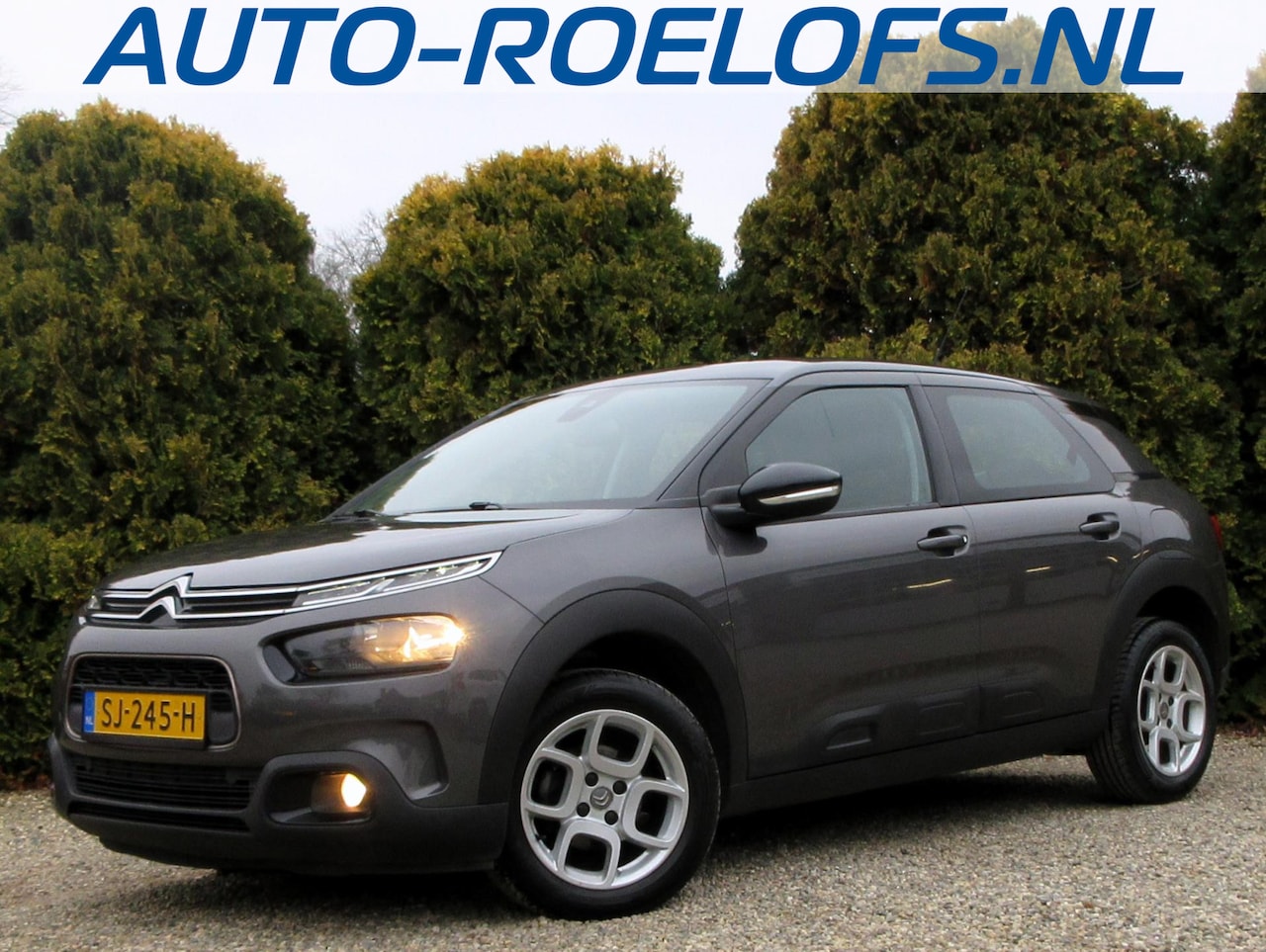 Citroën C4 Cactus - 1.2 PureTech Business*Navi*Pdc* - AutoWereld.nl