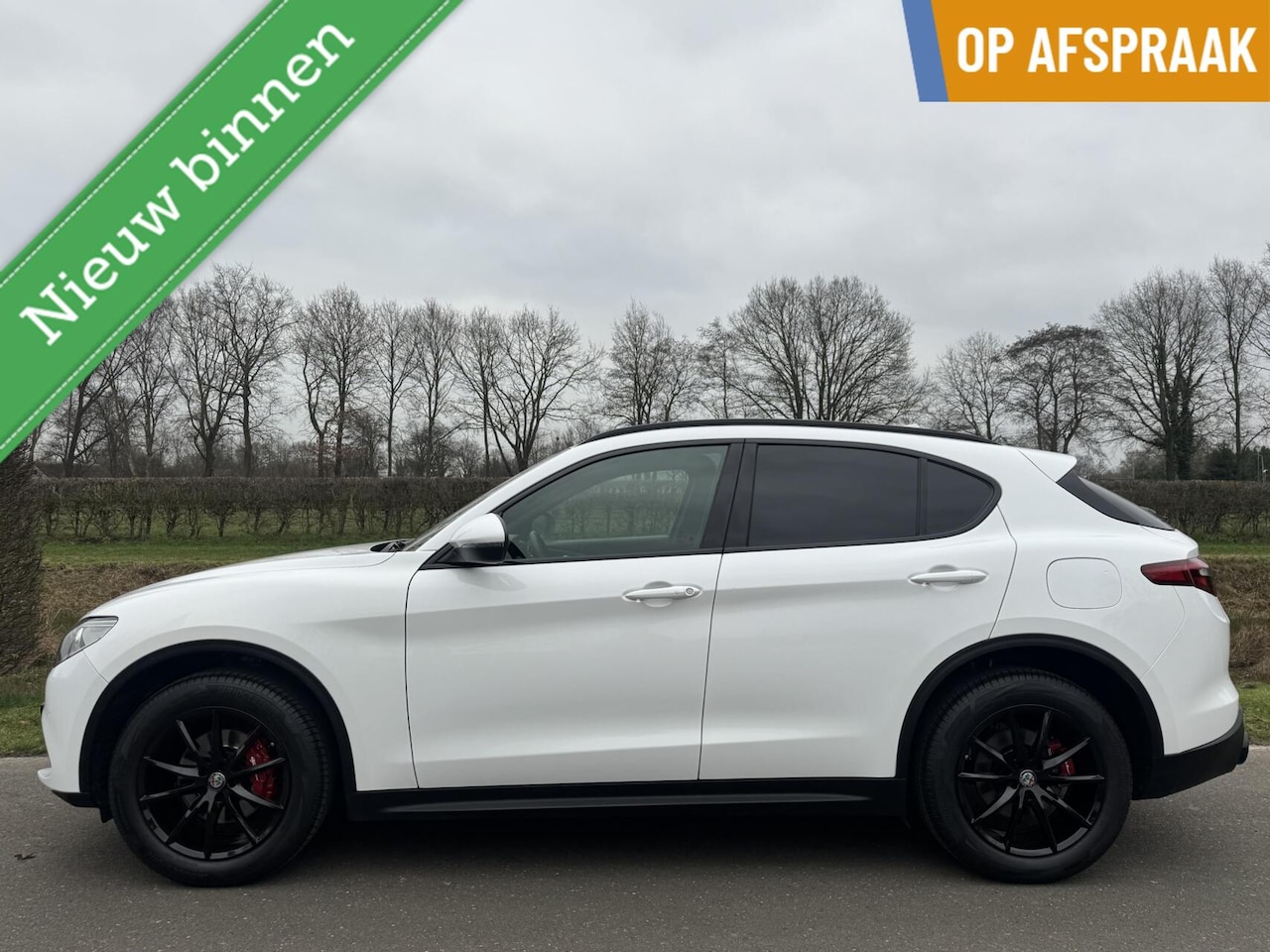 Alfa Romeo Stelvio - 2.0t Q4 Veloce 280pk, Carplay, 19inch, 124dkm - AutoWereld.nl