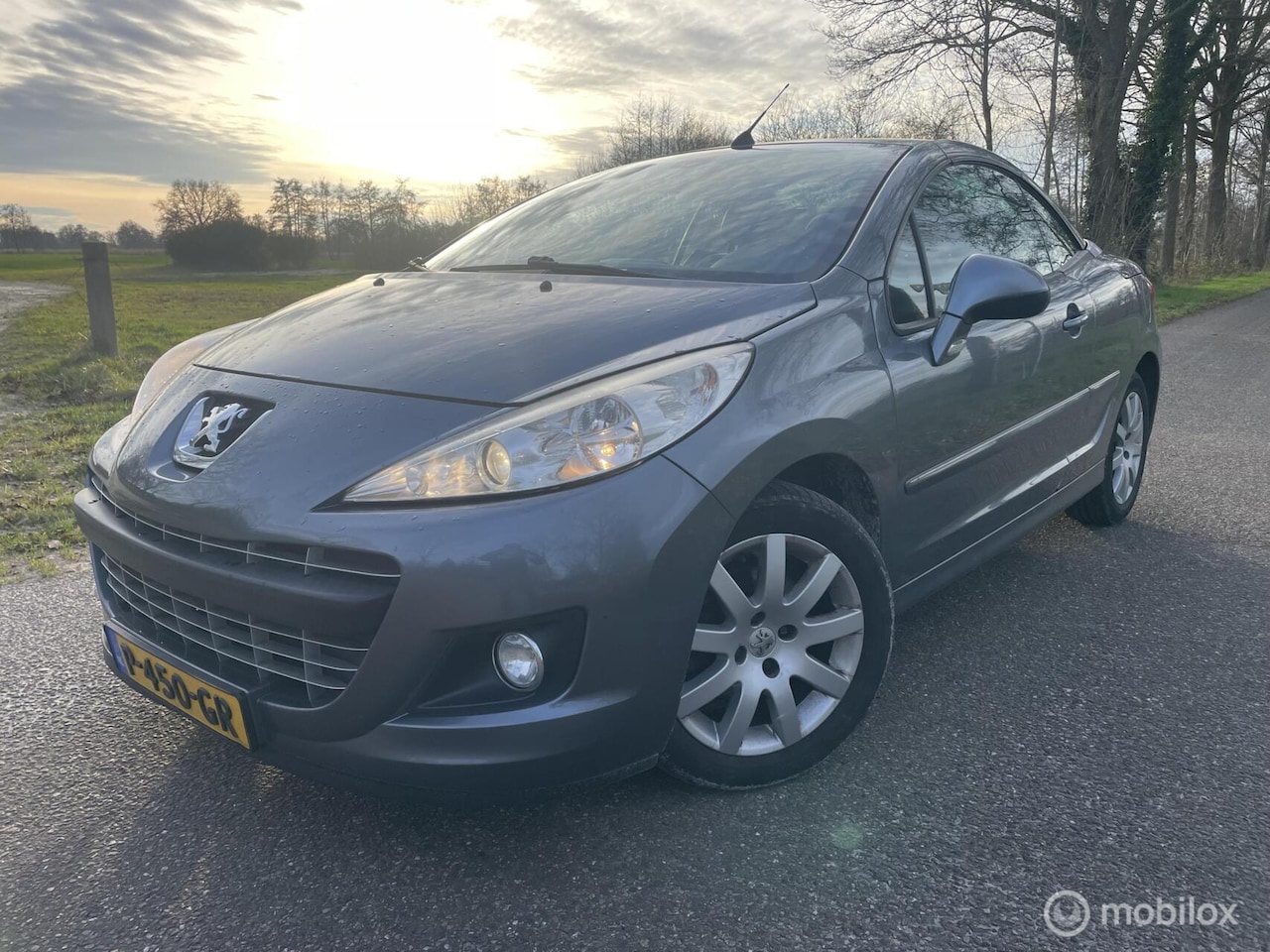 Peugeot 207 CC - 1.6 VTi Noir & Blanc - AutoWereld.nl