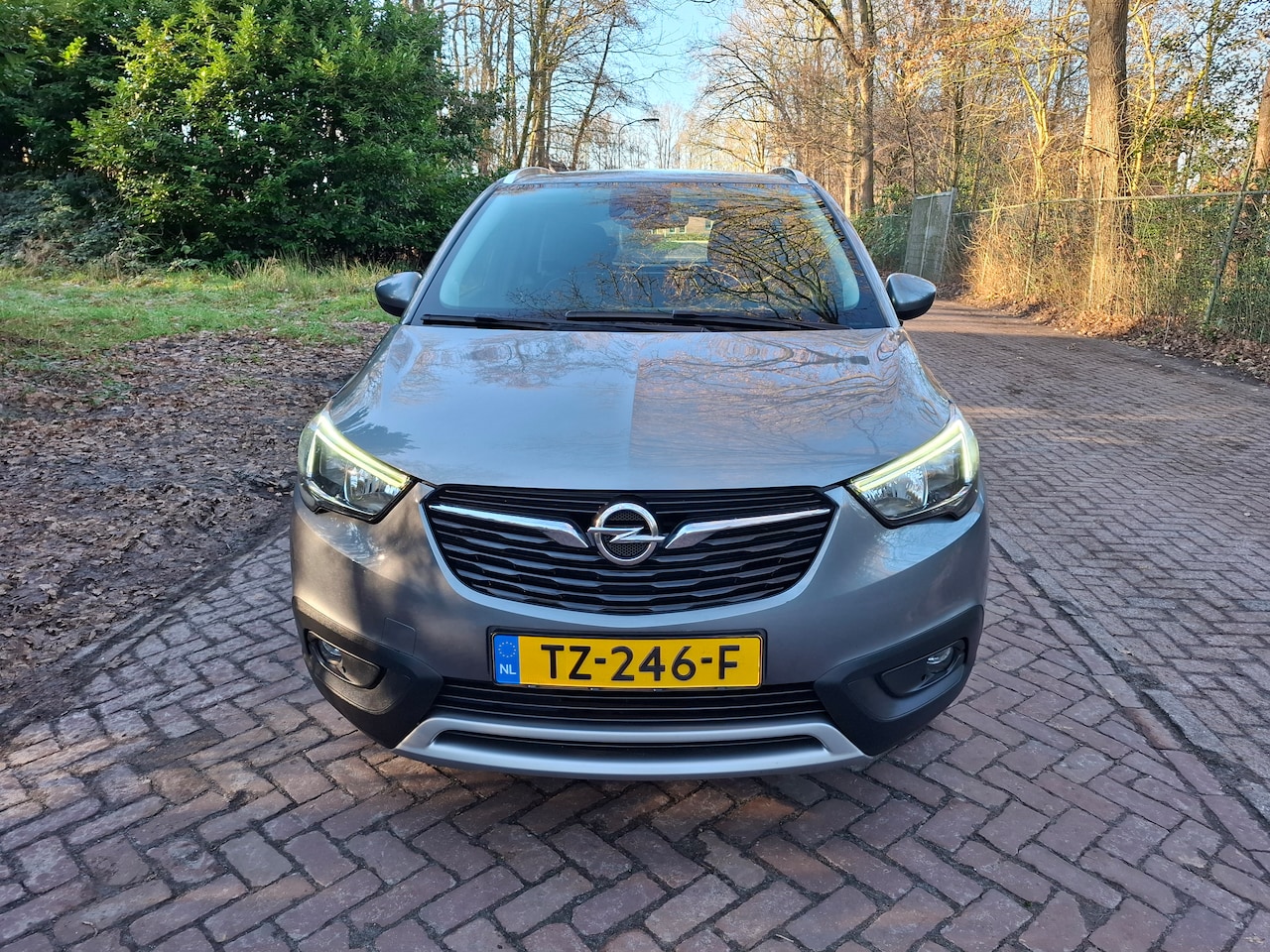Opel Crossland X - 1.2 Online Edition - AutoWereld.nl