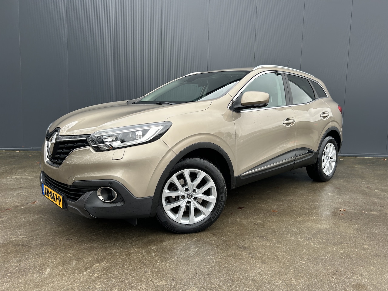 Renault Kadjar - 1.2 TCe Intens LED HALF LEER NAVI CRUISE ECC TREKHAAK - AutoWereld.nl