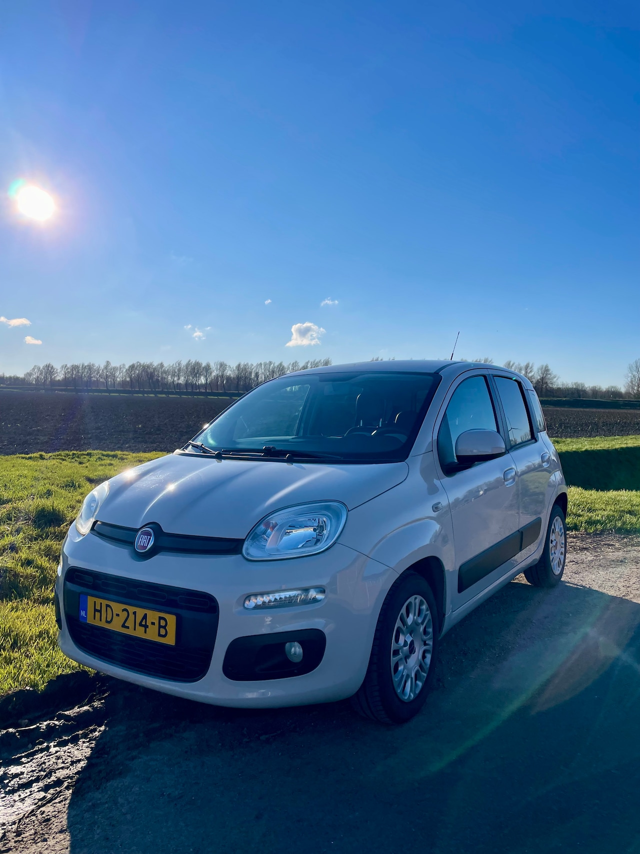 Fiat Panda - 0.9 TwinAir Lounge Keurige Fiat Panda vol opties - AutoWereld.nl